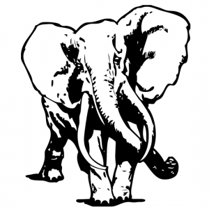Elephant-Premium-Bins--550X550-Site-Icon